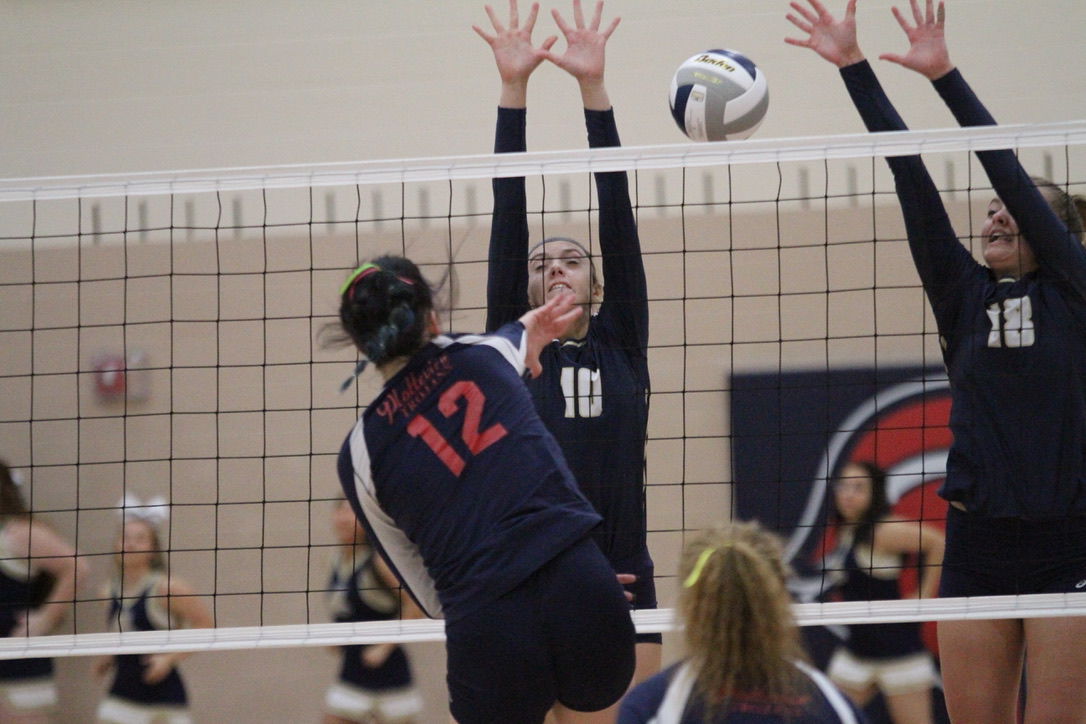 York vs. Platteview volleyball 28.jpeg